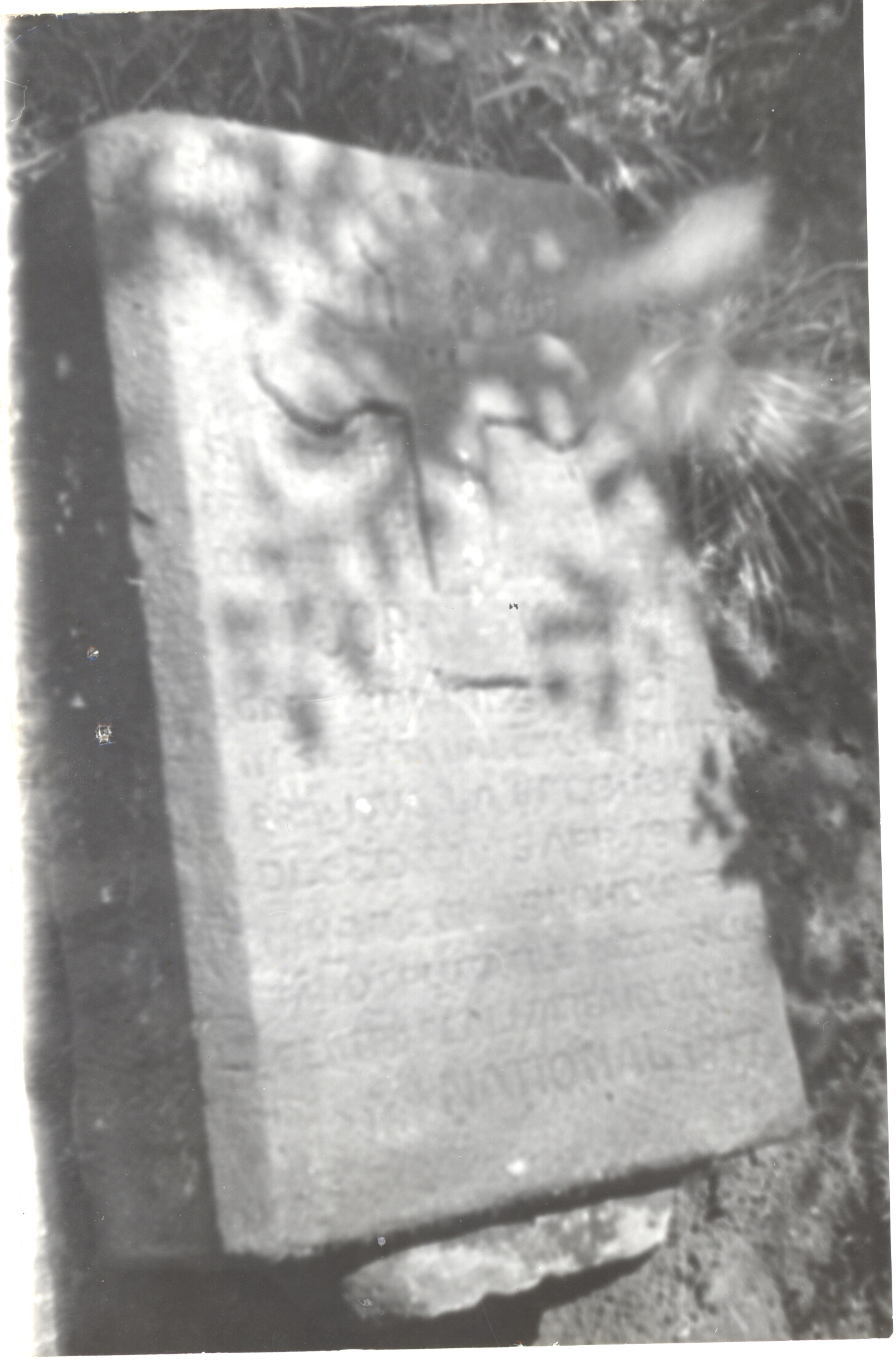 Monumentul eroilor căzuţi în Primul Război Mondial
