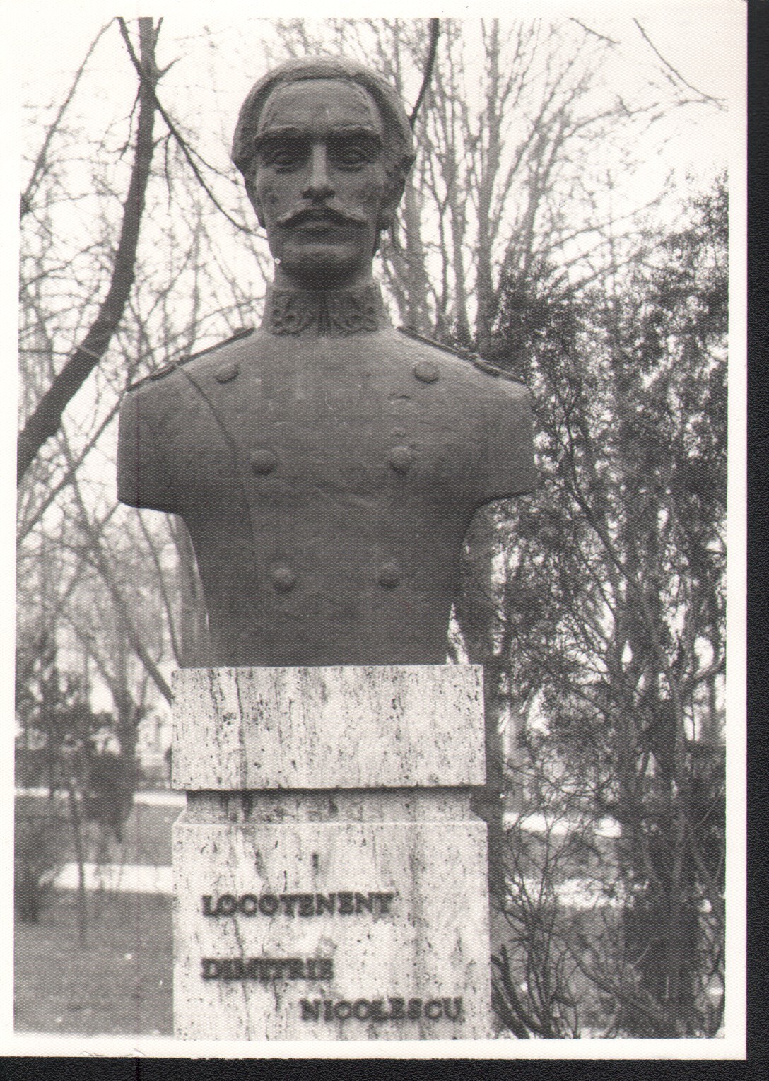 Bustul eroului locotenent Dimitrie Nicolescu