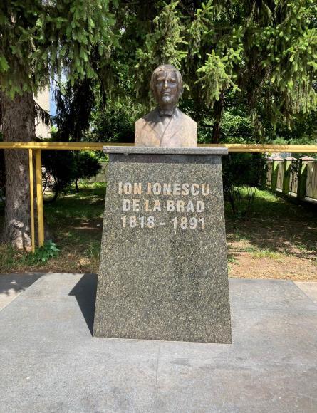 Bustul lui Ion Ionescu de la Brad