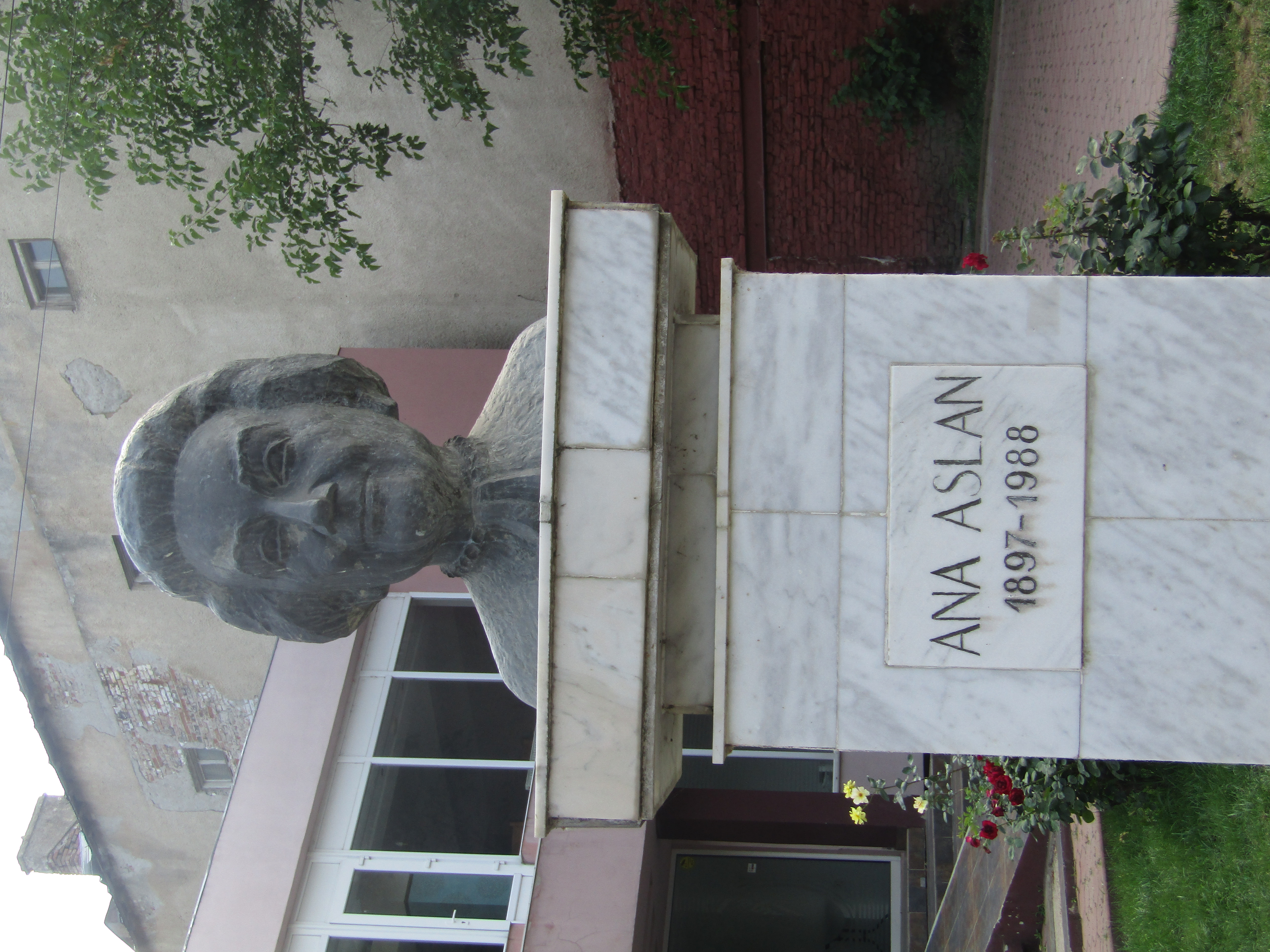 Bustul savantei Ana Aslan
